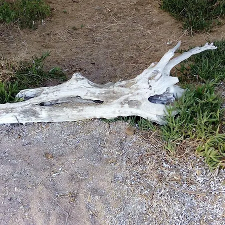 Дом отдыха Sea Melodies 1