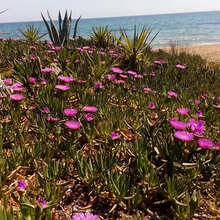 Sea Melodies 1 Дом отдыха