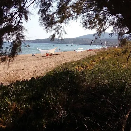 Sea Melodies 1 Корони