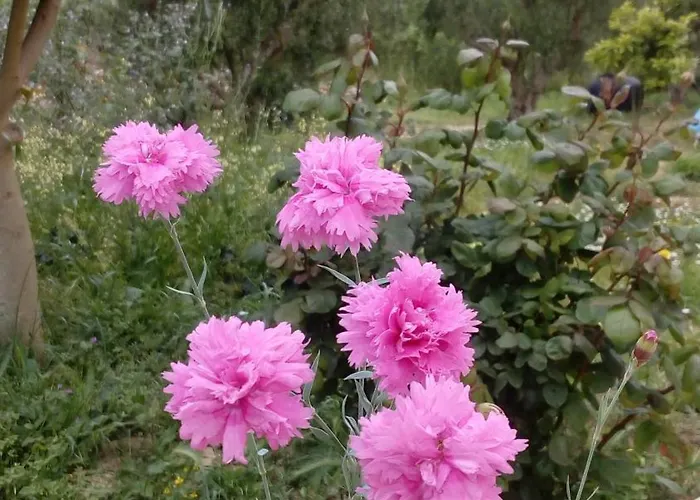 Hébergement de vacances Sea Melodies 1