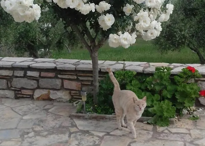 Sea Melodies 1 Hébergement de vacances