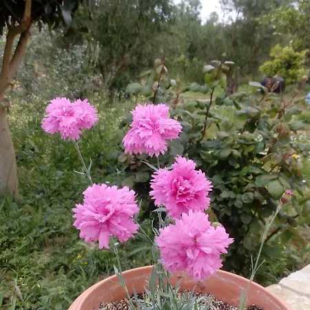 Vakantiehuis Sea Melodies 1