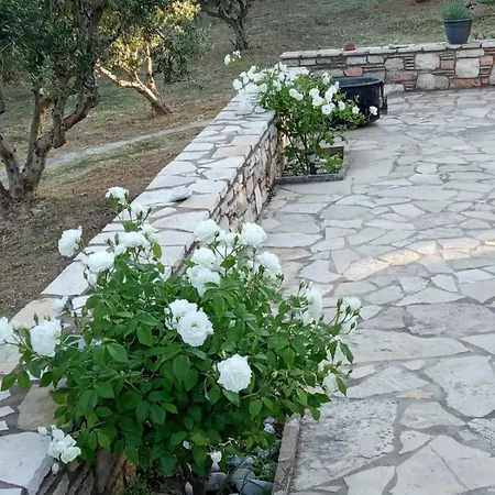 Sea Melodies 1 * Koróni