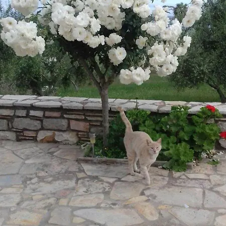 Sea Melodies 1 Vakantiehuis