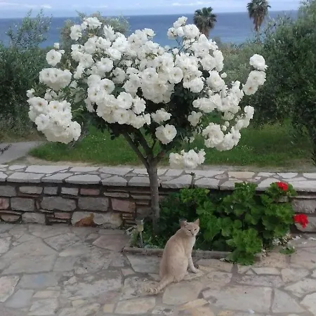 Sea Melodies 1 Koróni