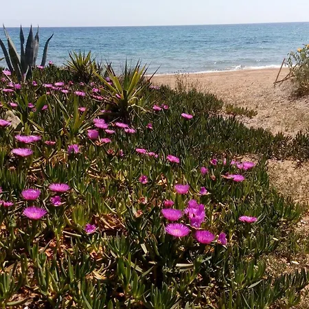 Sea Melodies 1 * Koróni