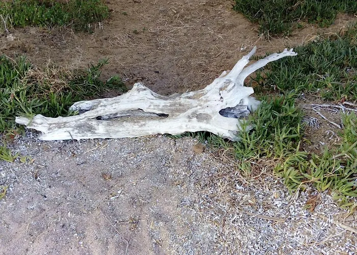 Сasa de vacaciones Sea Melodies 1