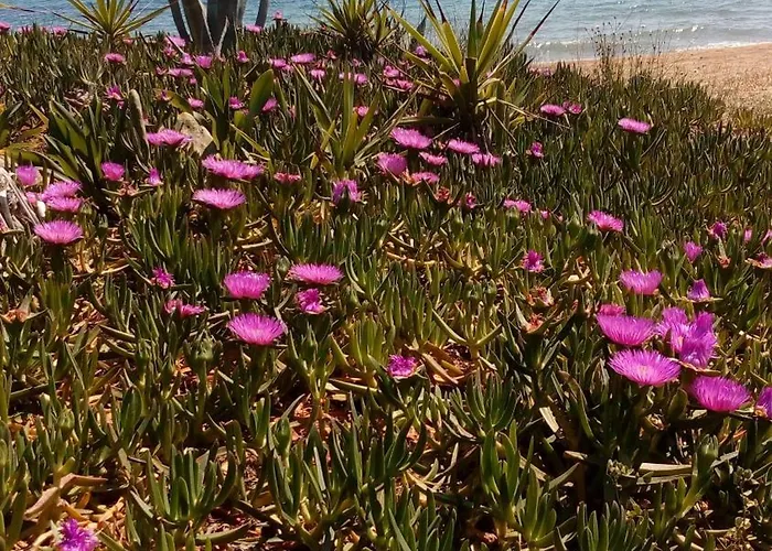 Sea Melodies 1 Semesterbostad