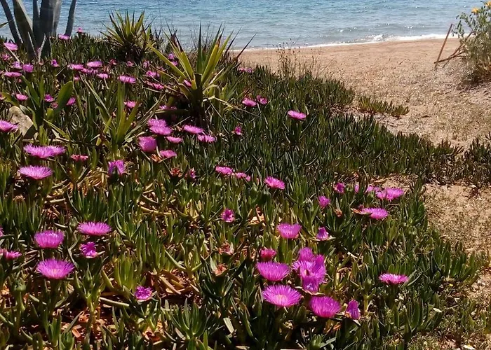 Sea Melodies 1 * Koróni